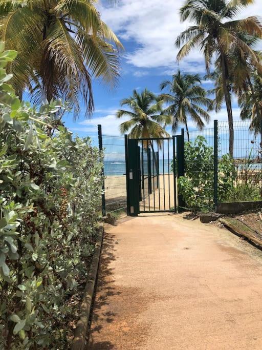 Soleiade Le Gosier - Acces Plage ภายนอก รูปภาพ